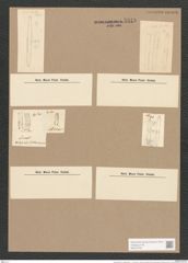 Synedra affinis var. tabulata (Ag.) V. H. (de-Toni-Nr.: Genus 66, Species 2607) Zeichnungen Sammlung Grunow Nr. 5348 (NHMW-BOT-W0373752)